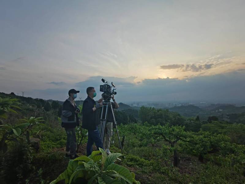 创意破圈！阿勒泰电商产品宣传视频用故事化叙事引爆流量
