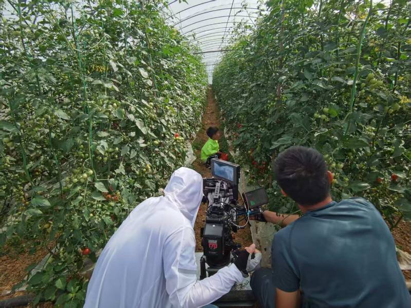 阿勒泰产品宣传视频拍摄公司进阶指南，助力品牌抢占传播高地